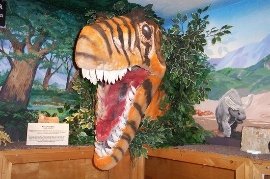 John Hutchings Museum of Natural History